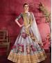 Picture of Fascinating Gray Lehenga Choli