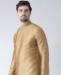 Picture of Beauteous Chiku Kurtas