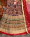 Picture of Delightful Blue Lehenga Choli