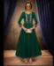 Picture of Shapely Green Readymade Gown