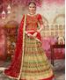 Picture of Amazing Green Lehenga Choli