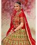 Picture of Amazing Green Lehenga Choli