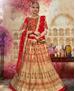 Picture of Graceful Gold Lehenga Choli