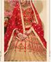 Picture of Graceful Gold Lehenga Choli