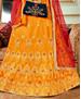 Picture of Graceful Yellow Lehenga Choli