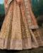 Picture of Beautiful Light Brown Lehenga Choli