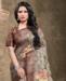 Picture of Sightly Brown Georgette Saree