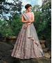 Picture of Alluring Grey Lehenga Choli