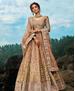 Picture of Beautiful Light Brown Lehenga Choli