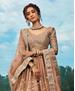 Picture of Beautiful Light Brown Lehenga Choli