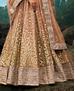 Picture of Beautiful Light Brown Lehenga Choli