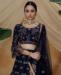 Picture of Fine Navy Lehenga Choli