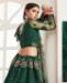 Picture of Resplendent Green Lehenga Choli