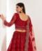 Picture of Ideal Red Lehenga Choli