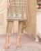 Picture of Beauteous Beige Straight Cut Salwar Kameez