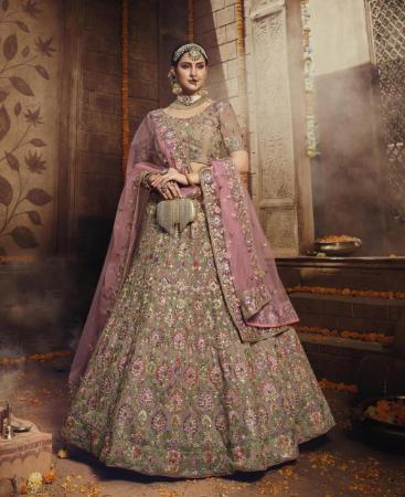 Picture of Sublime Light Brown Lehenga Choli