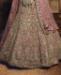 Picture of Sublime Light Brown Lehenga Choli