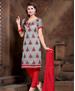 Picture of Ravishing Grey Cotton Salwar Kameez