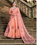 Picture of Beauteous Peach Lehenga Choli