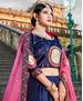 Picture of Splendid Navy Blue Lehenga Choli