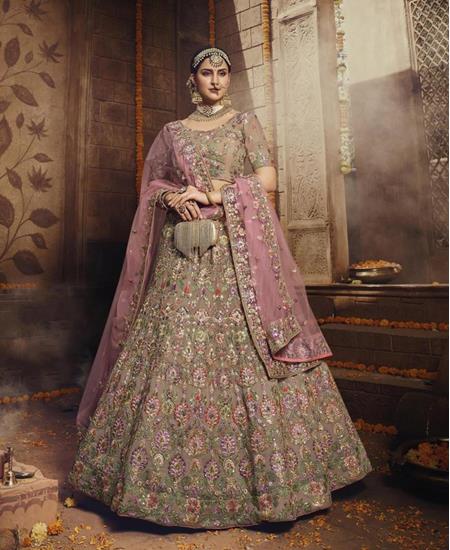 Picture of Sublime Light Brown Lehenga Choli