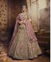 Picture of Sublime Light Brown Lehenga Choli