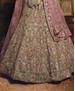 Picture of Sublime Light Brown Lehenga Choli