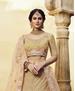 Picture of Grand Golden Lehenga Choli