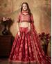 Picture of Delightful Maroon Lehenga Choli