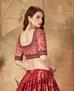 Picture of Delightful Maroon Lehenga Choli