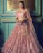 Picture of Enticing Dusty Pink Lehenga Choli