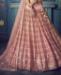 Picture of Comely Pink Lehenga Choli