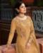 Picture of Pretty Dark Cream Straight Cut Salwar Kameez