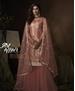 Picture of Appealing Peach Straight Cut Salwar Kameez