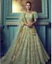 Picture of Resplendent Light Green Lehenga Choli