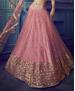 Picture of Stunning Pink Lehenga Choli