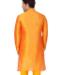 Picture of Statuesque Orange Kurtas