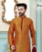 Picture of Amazing Mango Kurtas