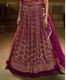 Picture of Pleasing Rani Pink Lehenga Choli