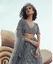 Picture of Superb Grey Lehenga Choli