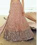 Picture of Elegant Peach Lehenga Choli