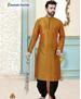 Picture of Radiant Mango Kurtas