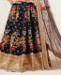 Picture of Beautiful Black Lehenga Choli