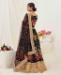 Picture of Beautiful Black Lehenga Choli