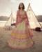 Picture of Sublime Beige Lehenga Choli