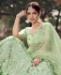 Picture of Fascinating Pista Green Lehenga Choli