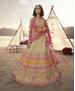 Picture of Sublime Beige Lehenga Choli