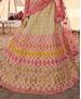 Picture of Sublime Beige Lehenga Choli