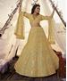 Picture of Radiant Musterd Lehenga Choli