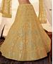 Picture of Radiant Musterd Lehenga Choli